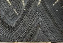 Black Root