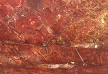 Rojo Damasco